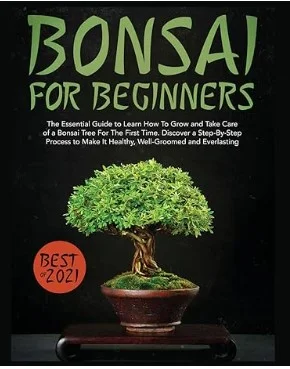 Global Amazon Publishing